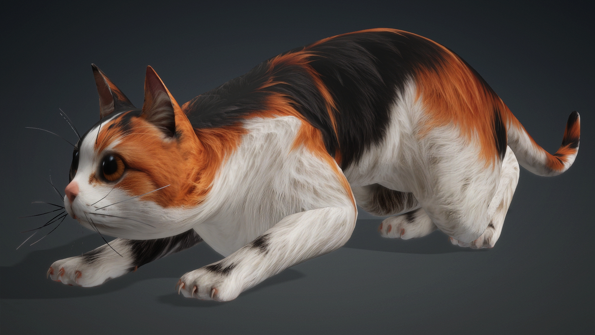 Cat_B1 - Image 8