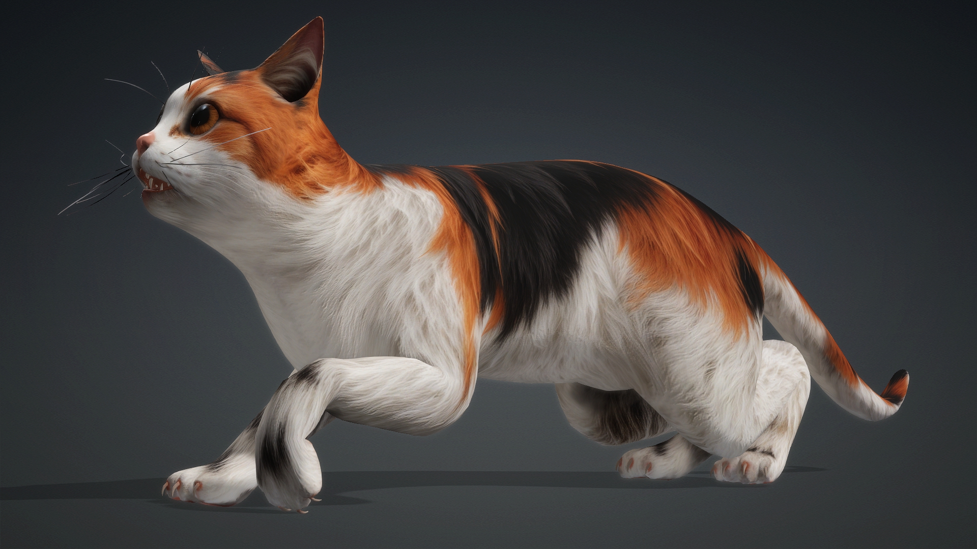 Cat_B1 - Image 9