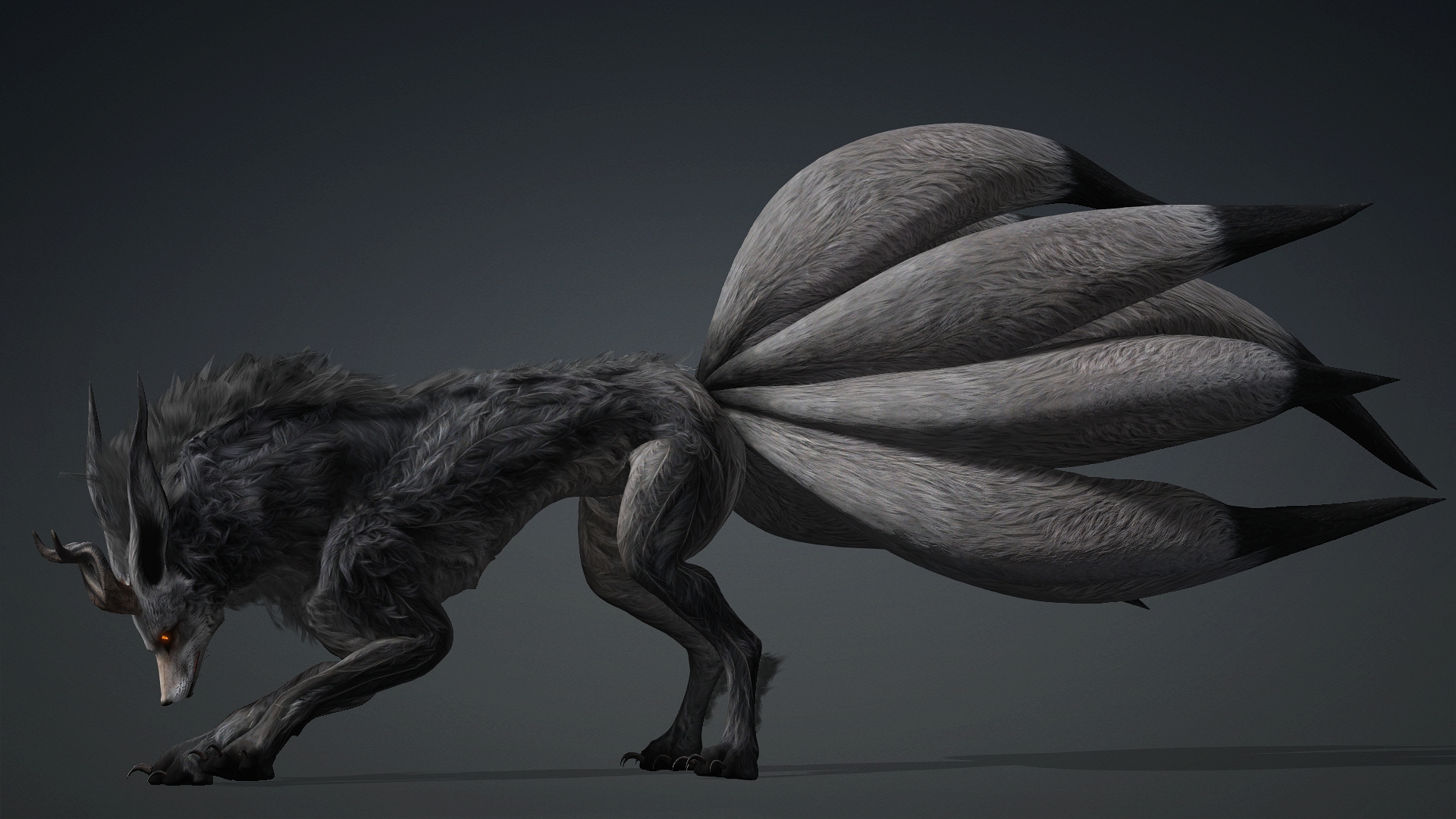 Fox Dark Shadow_D5 - Image 11