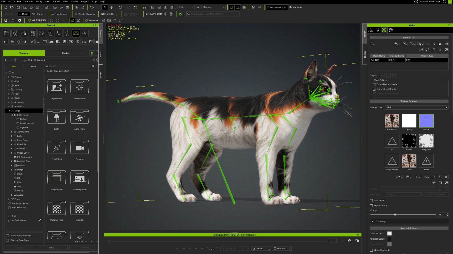 Cat_B1 - Image 24
