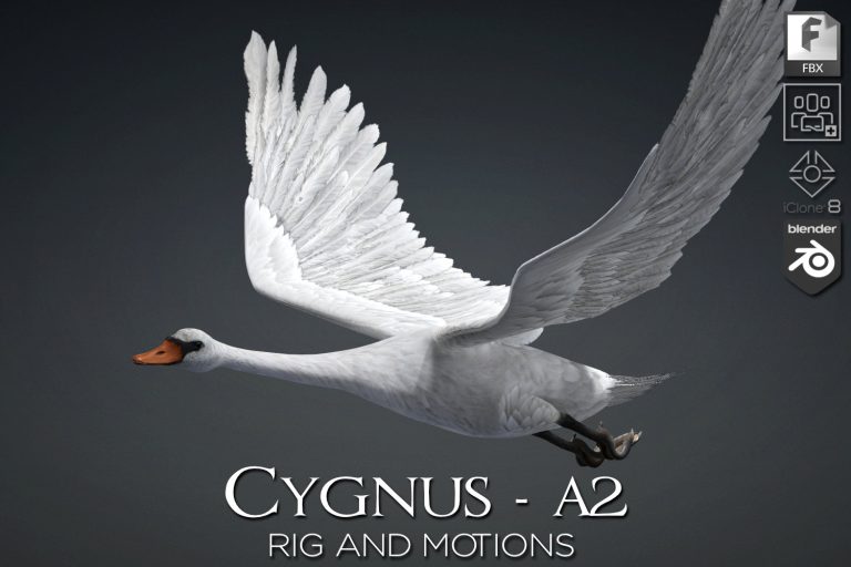 Cygnus_A2