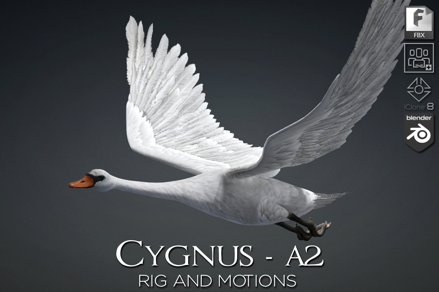 Cygnus_A2