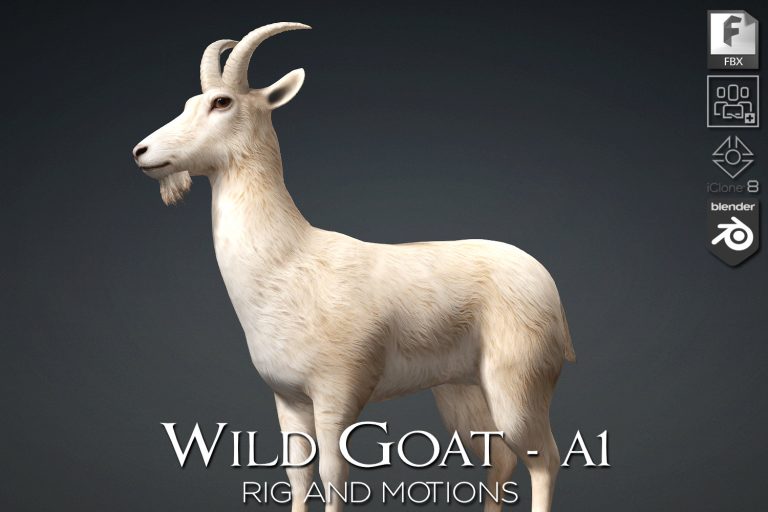 Wild Goat_A1