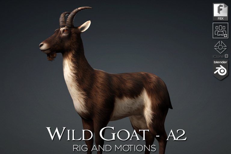 Wild Goat_A2
