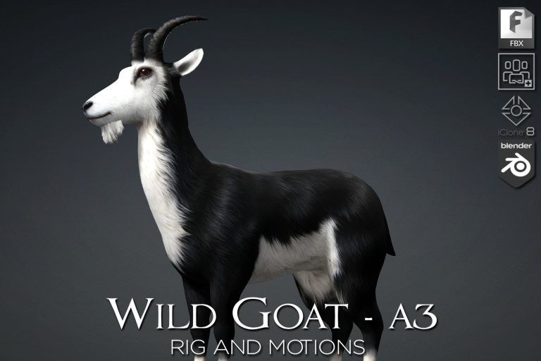 Wild Goat_A3