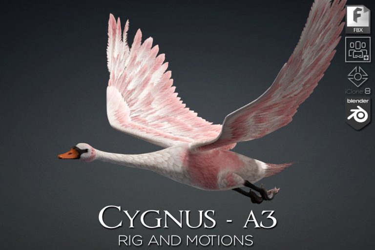 Cygnus_A3