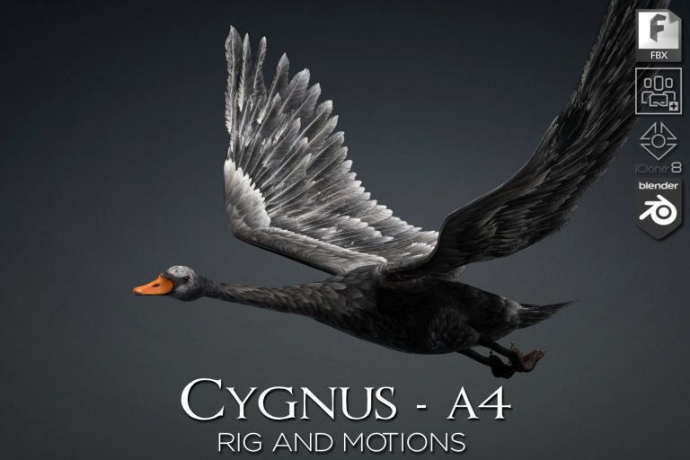 Cygnus_A4