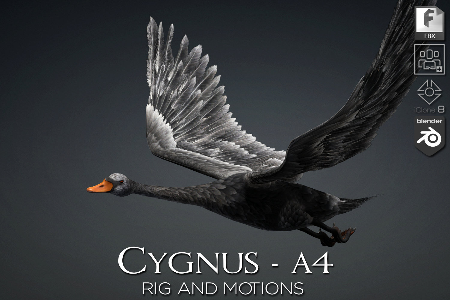 Cygnus_A4