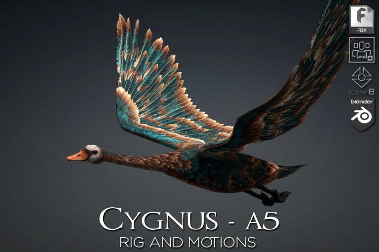 Cygnus_A5