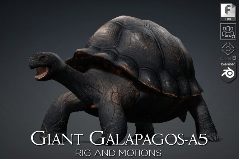 Giant Galapagos_A5