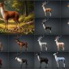 Pack 2026-Deer