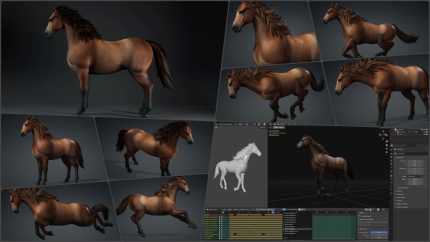 Alternative view of Pack 2026-Horse