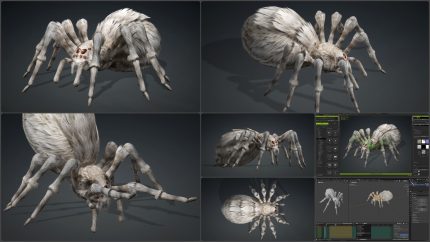 Alternative view of Pack 2026-Spider