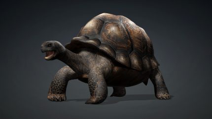 Alternative view of Giant Galapagos_A1