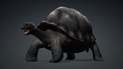 Alternative view of Giant Galapagos_A5