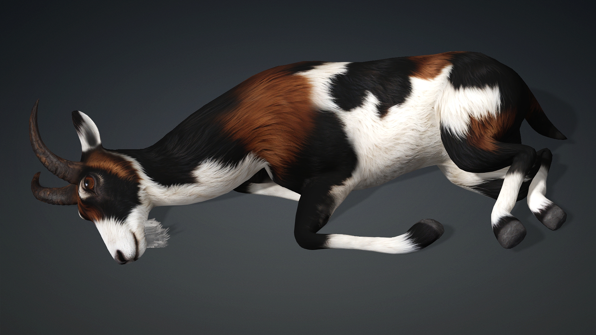 Wild Goat_A4 - Image 11
