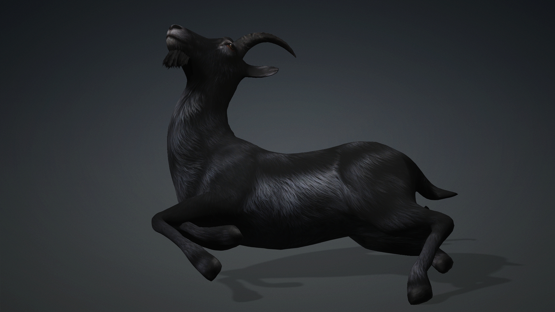 Wild Goat_A5 - Image 11