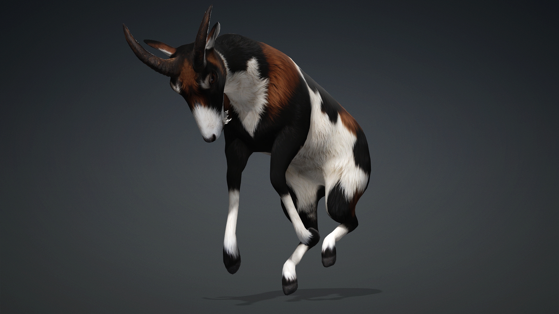 Wild Goat_A4 - Image 12