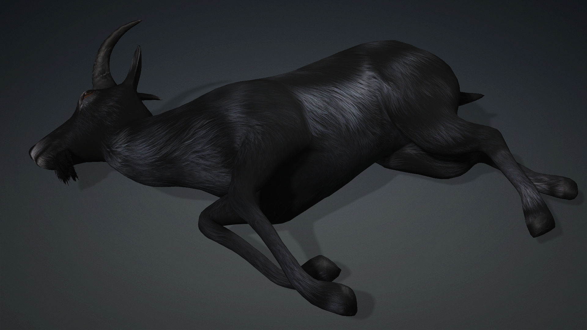 Wild Goat_A5 - Image 12