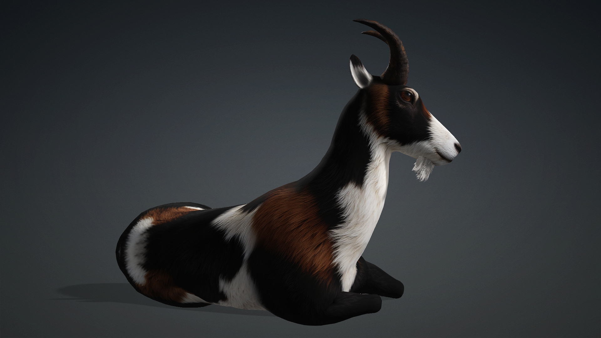 Wild Goat_A4 - Image 13