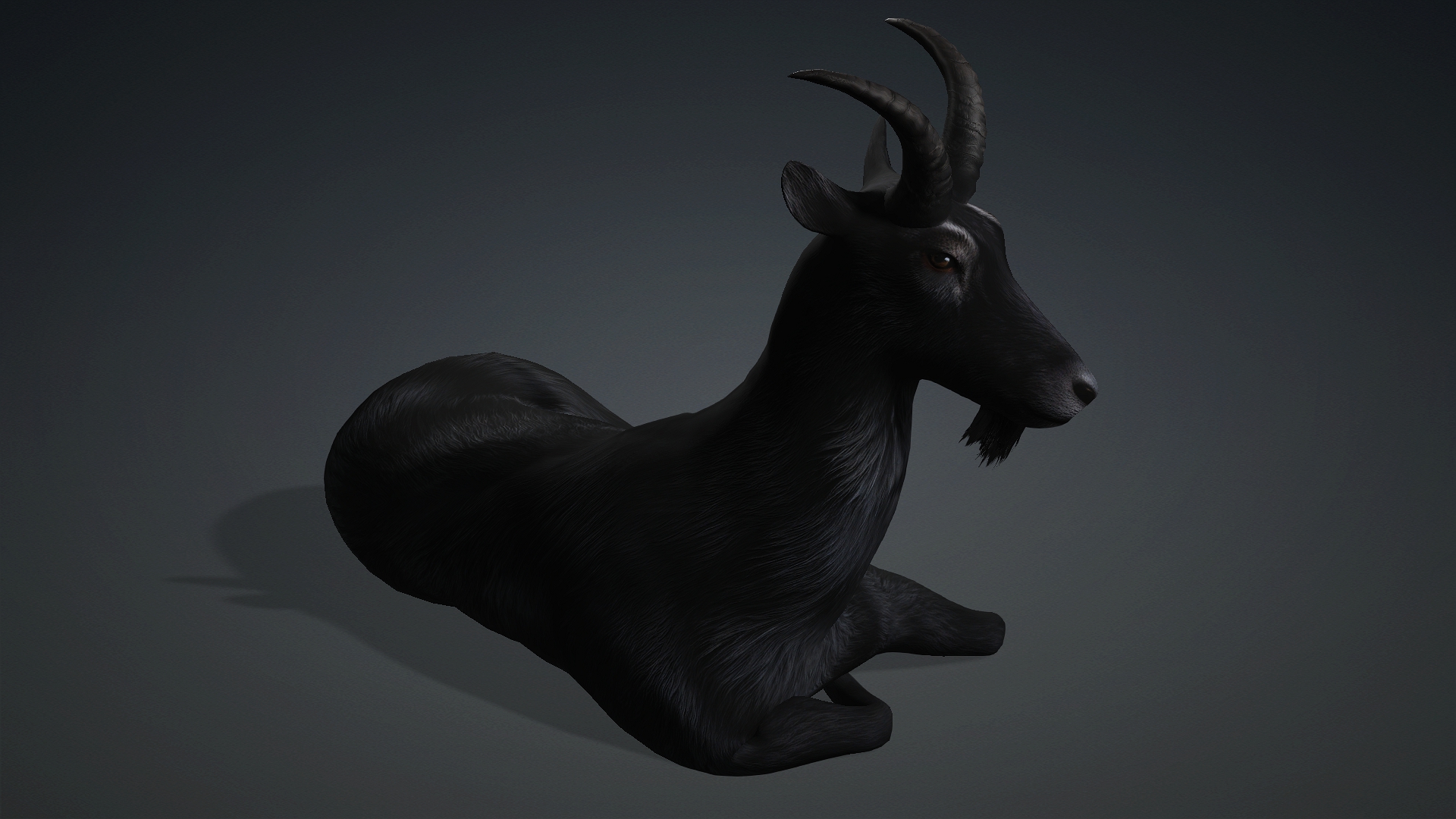Wild Goat_A5 - Image 14