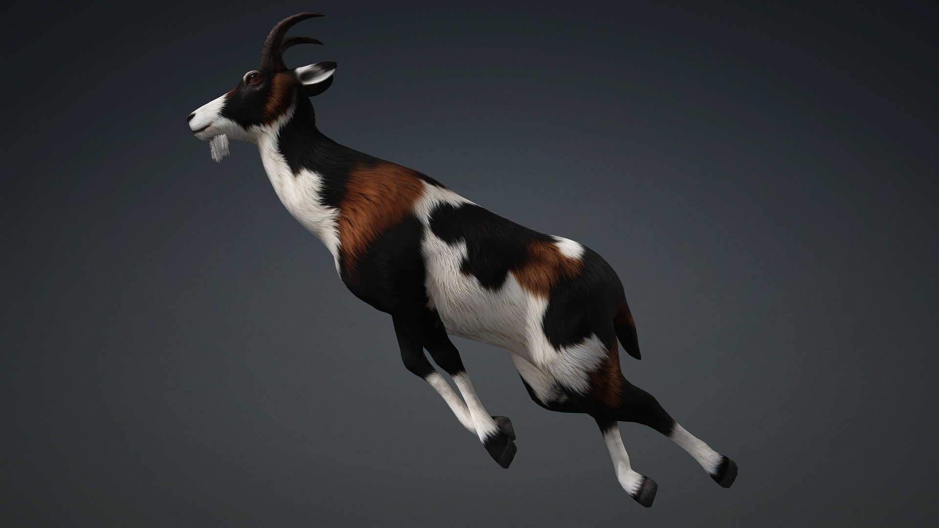 Wild Goat_A4 - Image 15