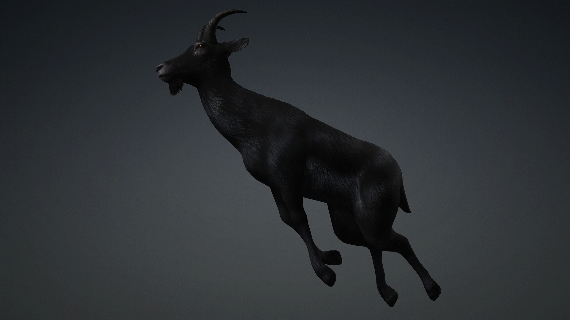 Wild Goat_A5 - Image 15