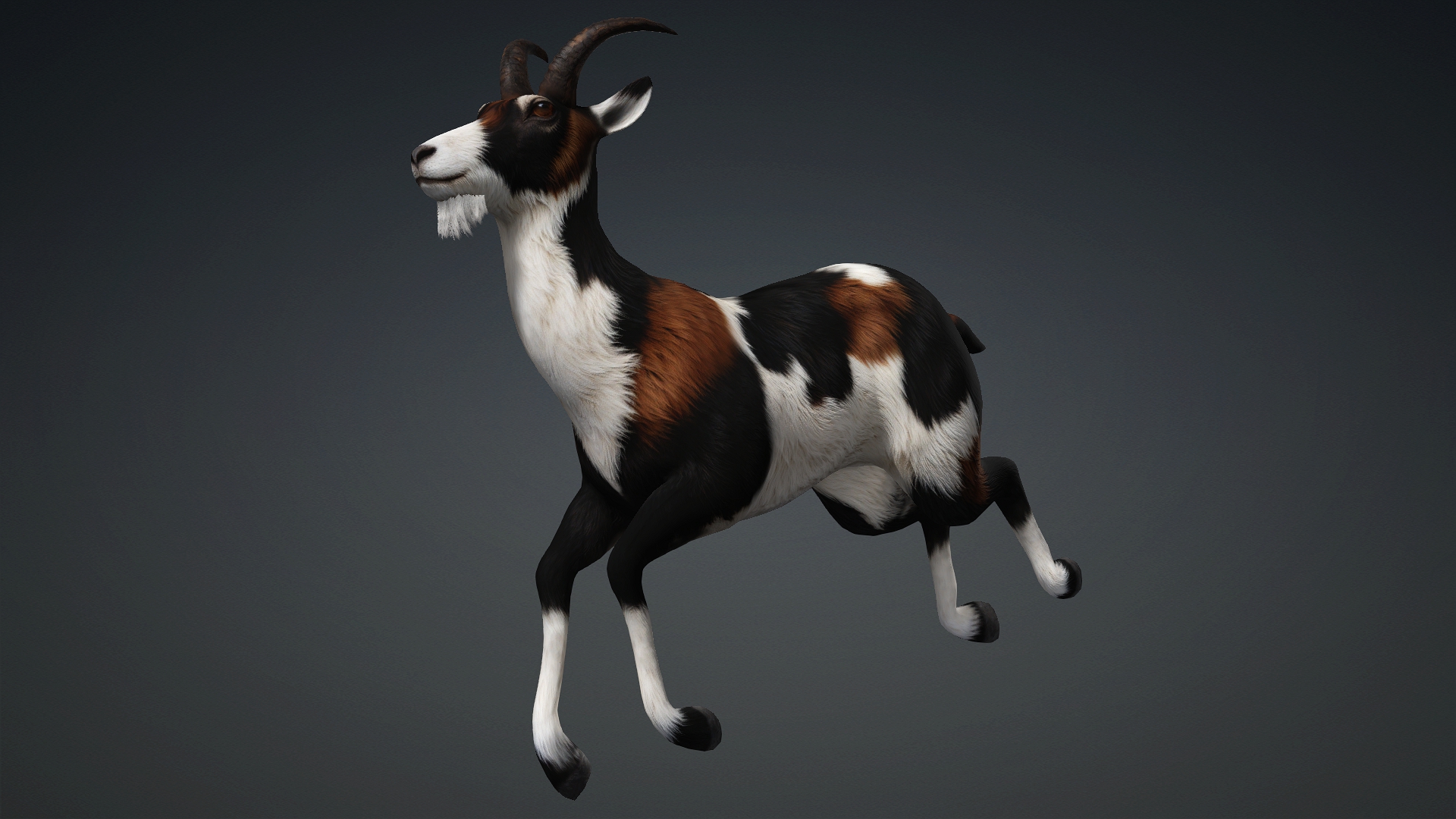 Wild Goat_A4 - Image 16