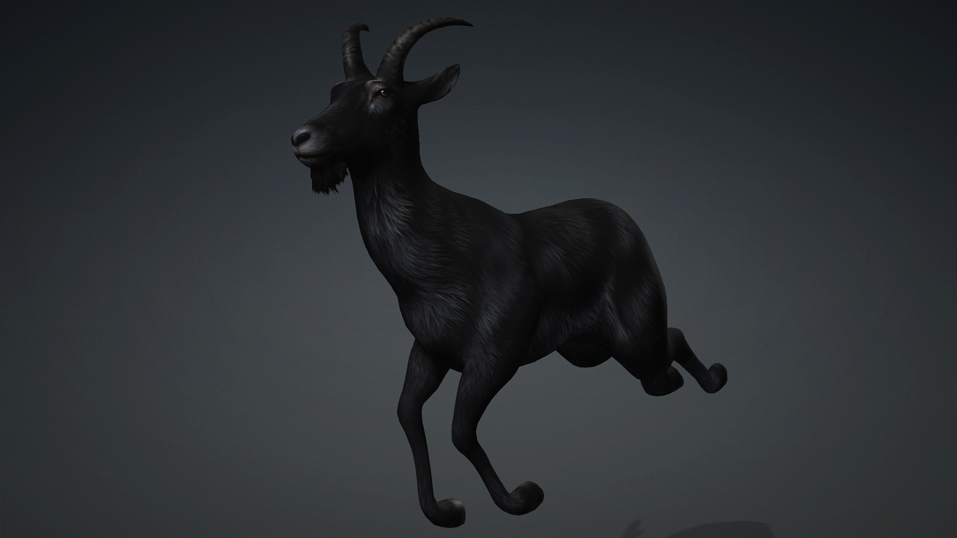 Wild Goat_A5 - Image 16