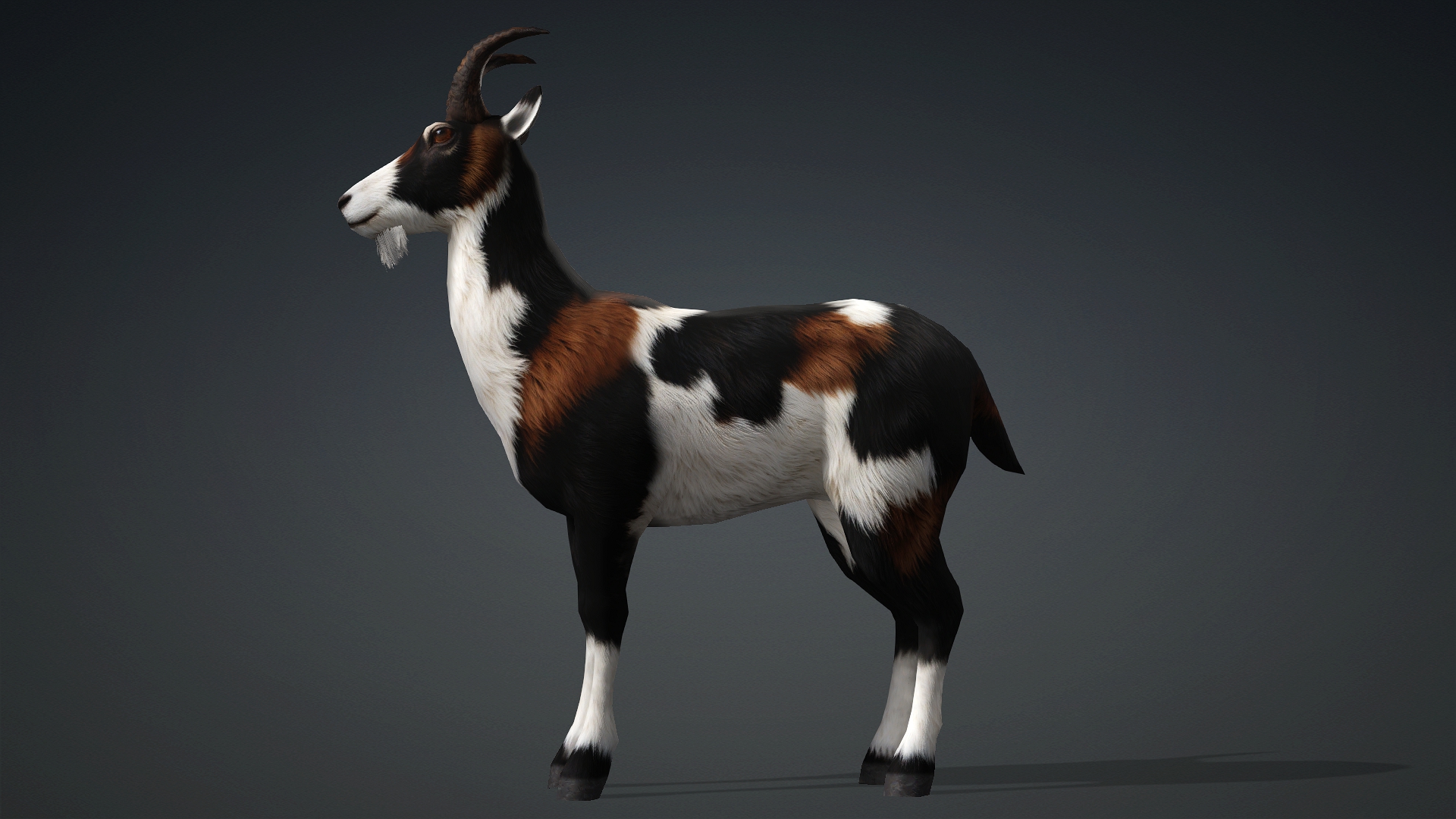 Wild Goat_A4 - Image 3