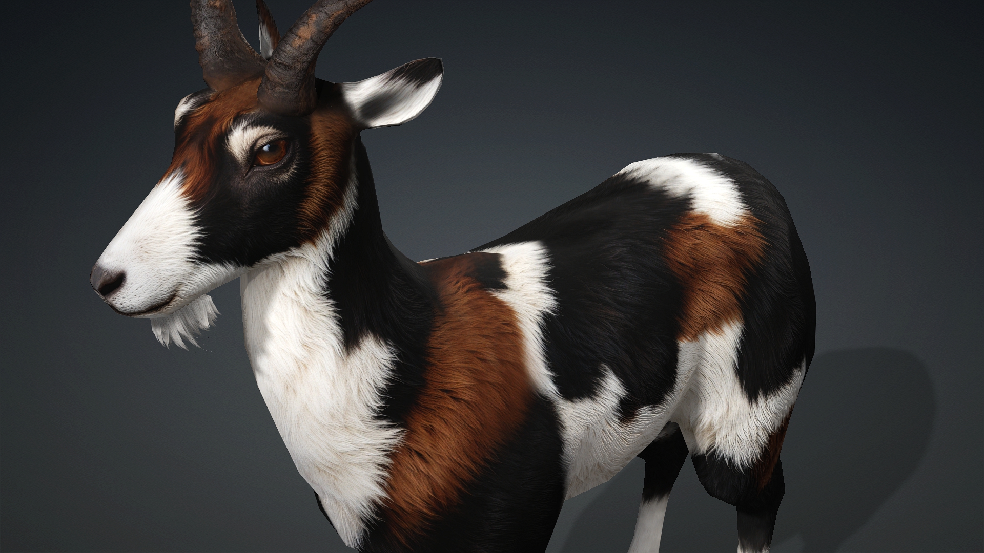 Wild Goat_A4 - Image 5