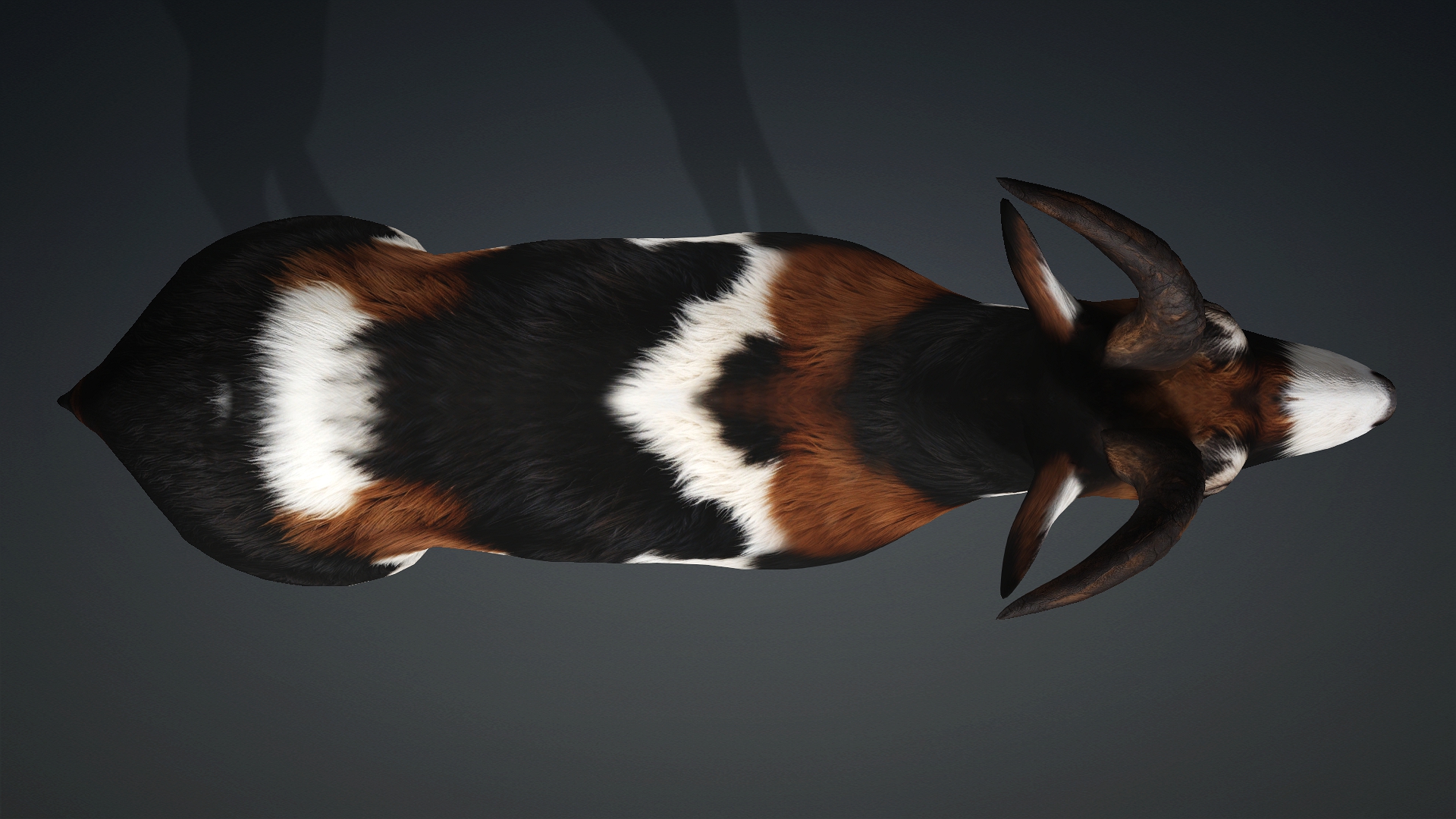 Wild Goat_A4 - Image 6