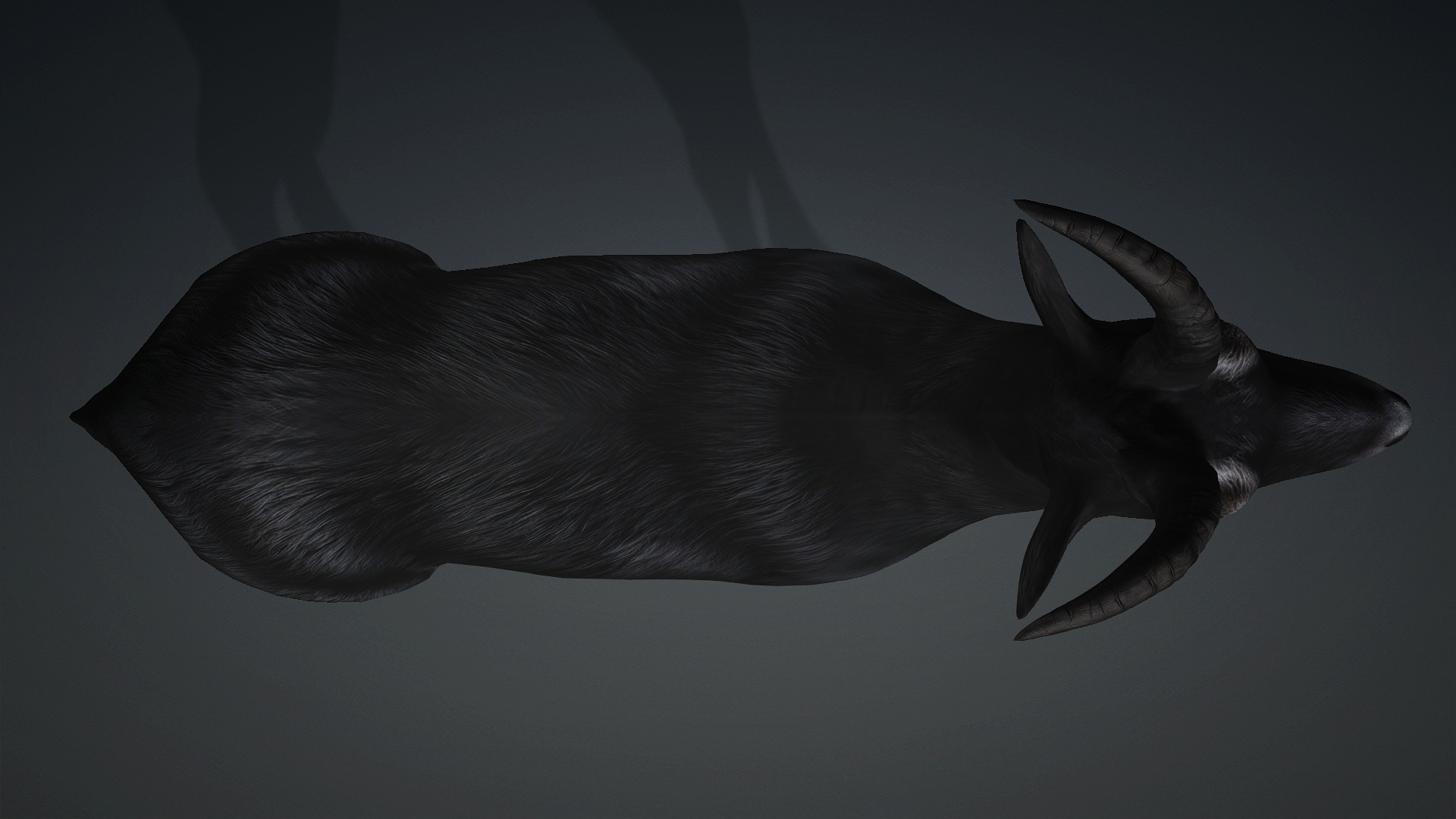Wild Goat_A5 - Image 6