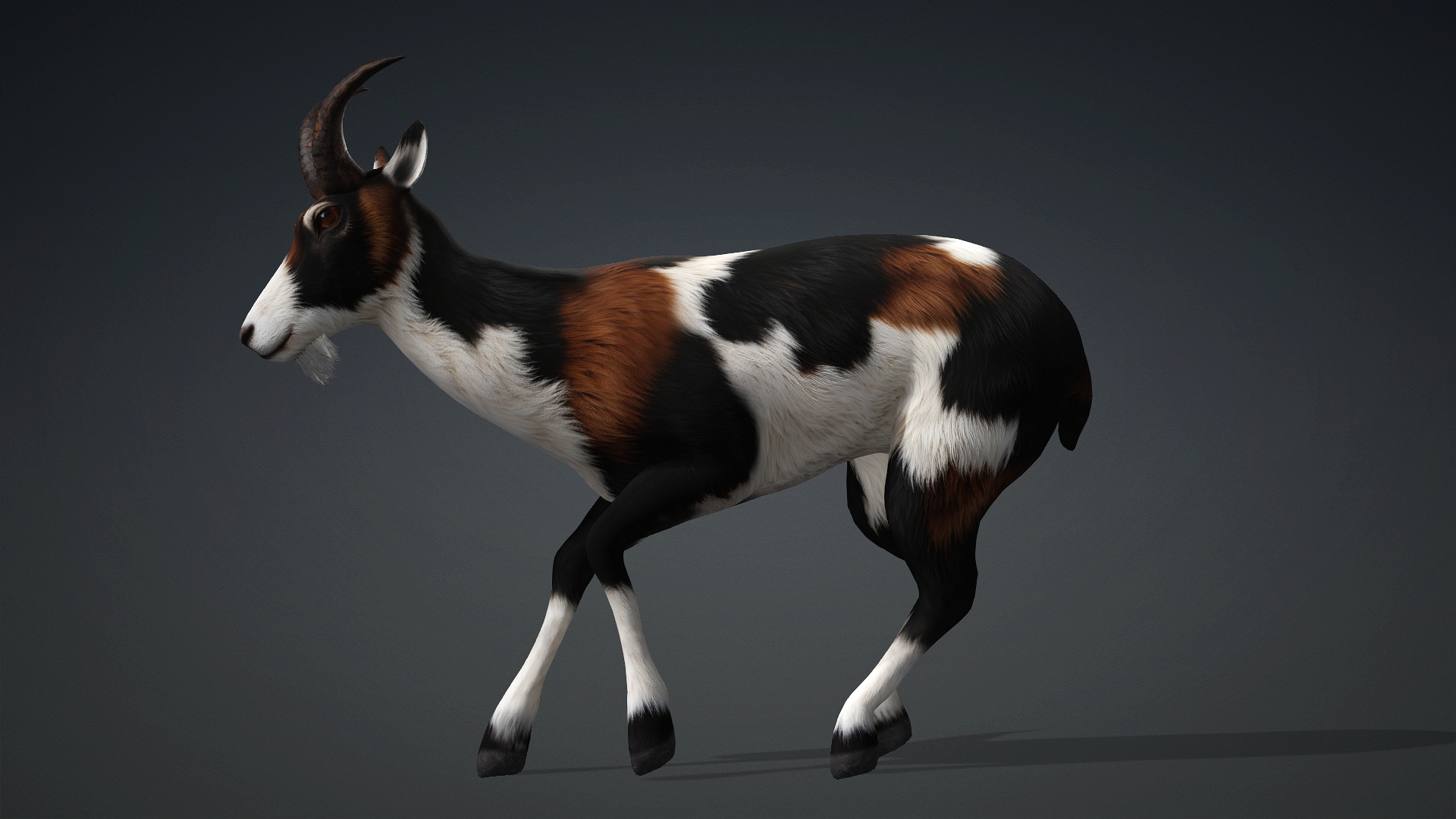 Wild Goat_A4 - Image 7