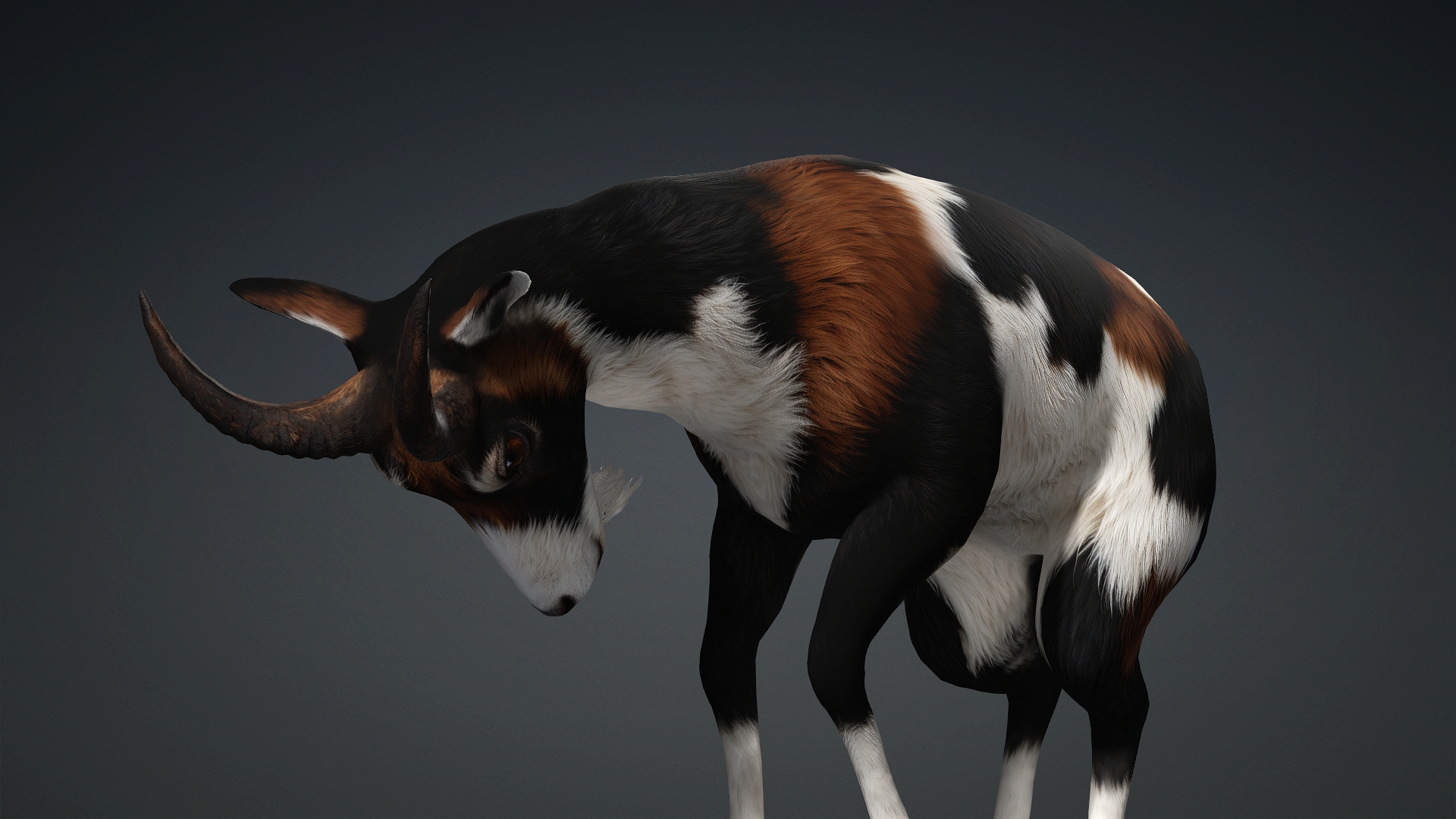 Wild Goat_A4 - Image 8