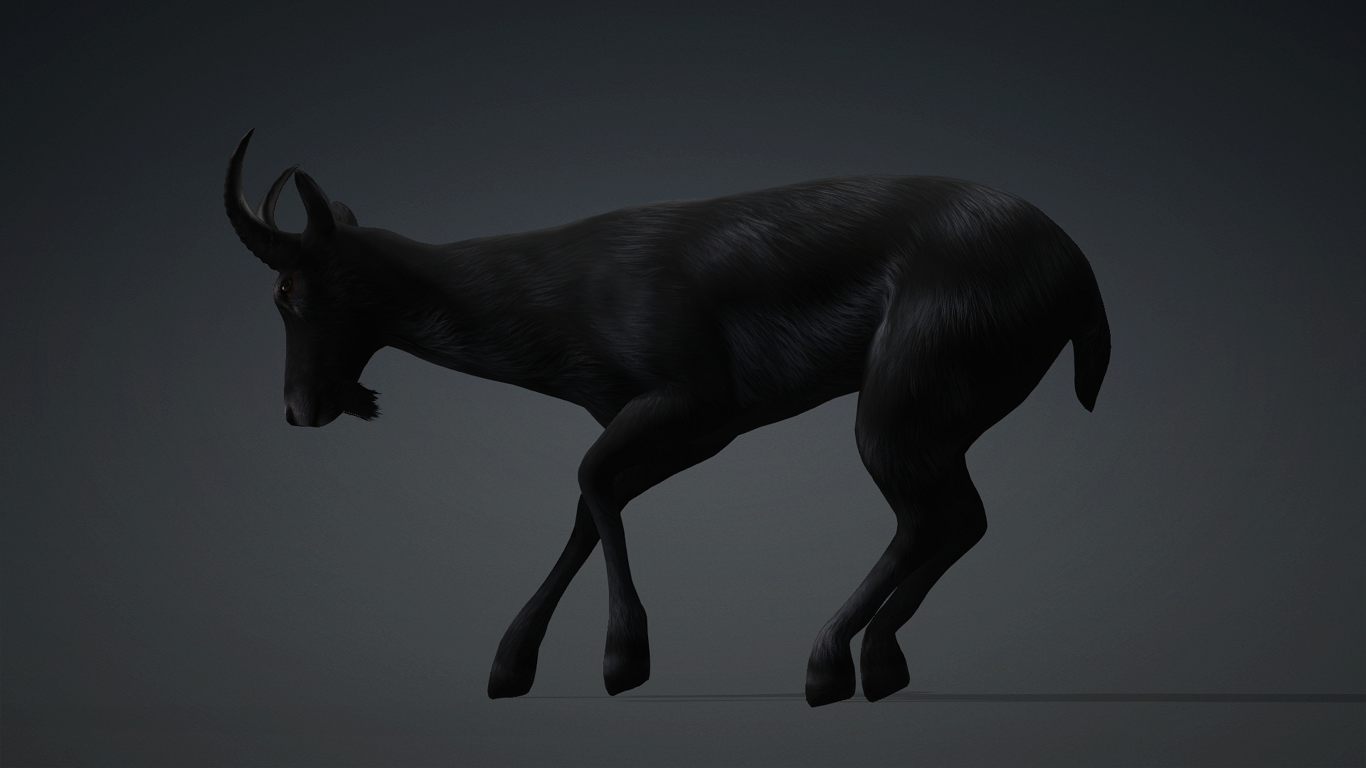 Wild Goat_A5 - Image 8