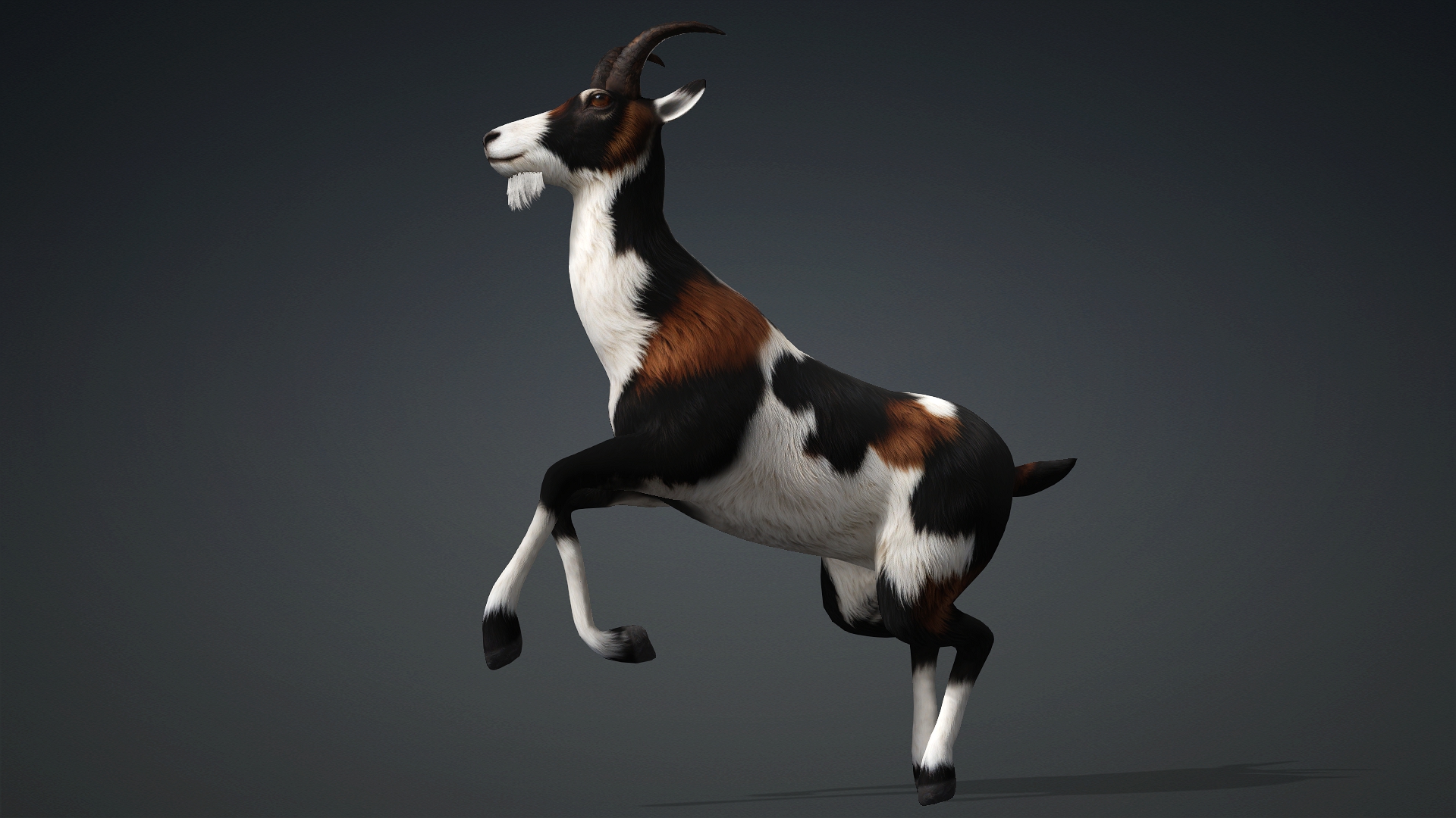 Wild Goat_A4 - Image 9