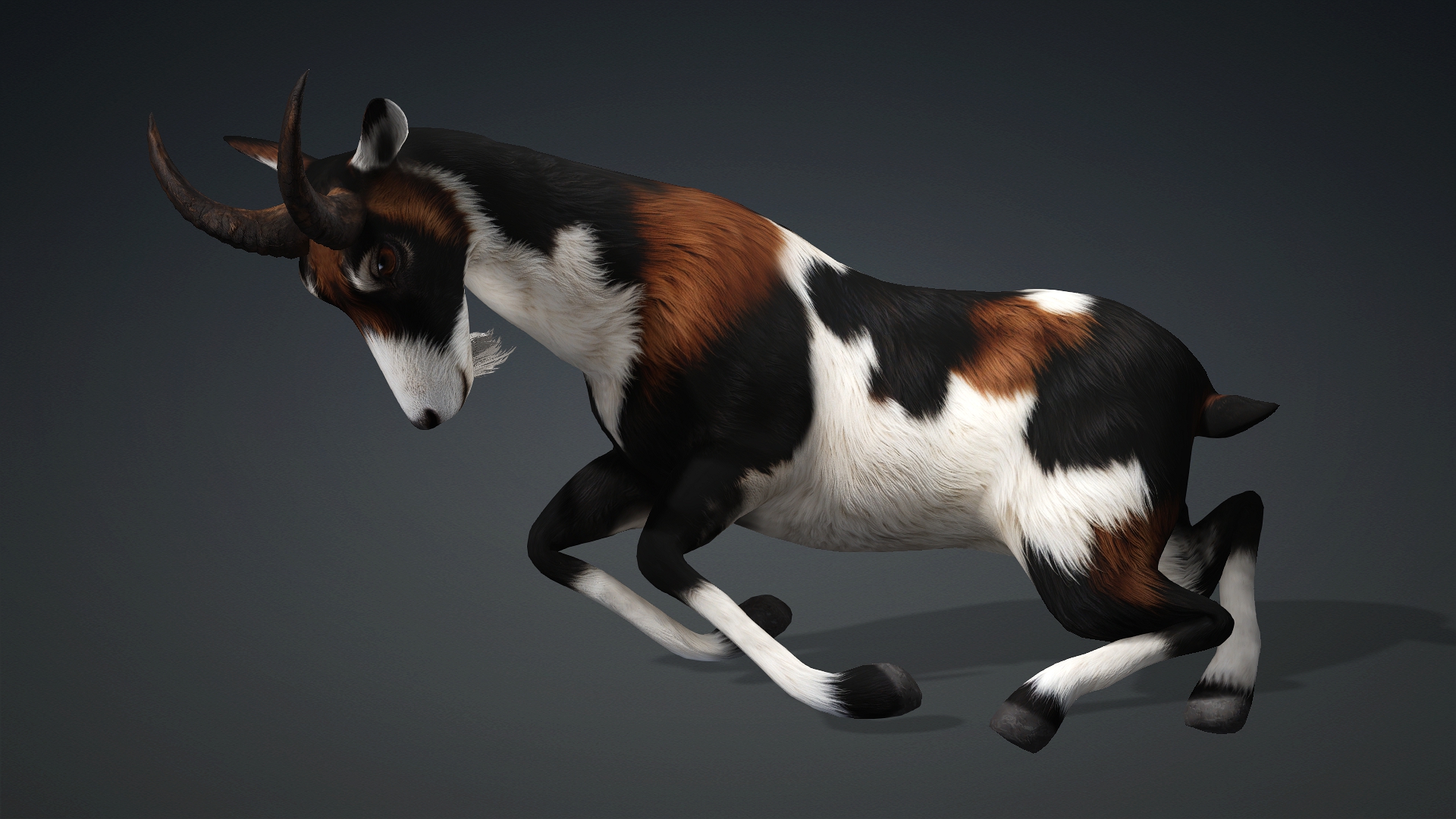 Wild Goat_A4 - Image 10