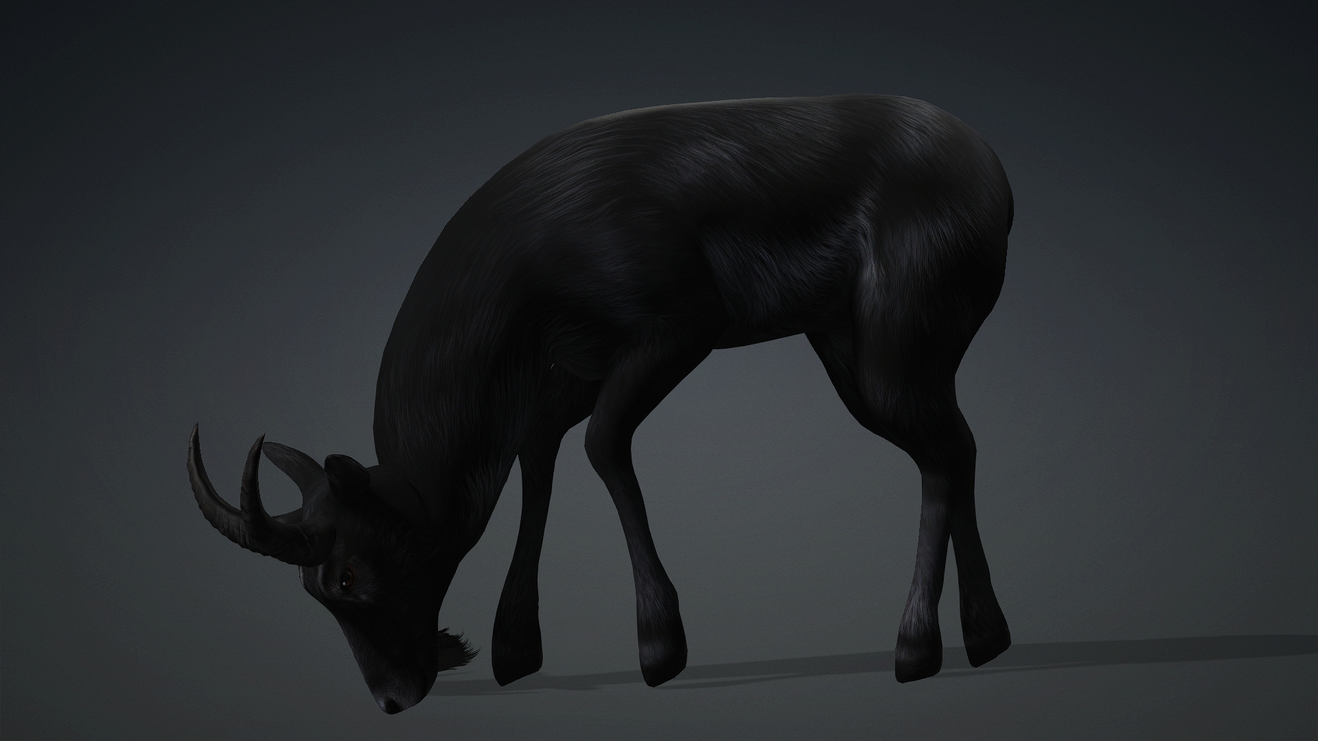 Wild Goat_A5 - Image 10