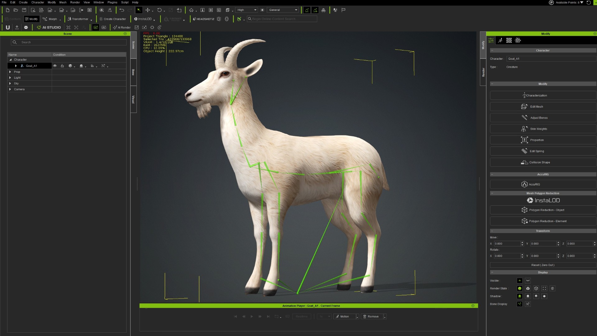 Wild Goat_A1 - Image 23